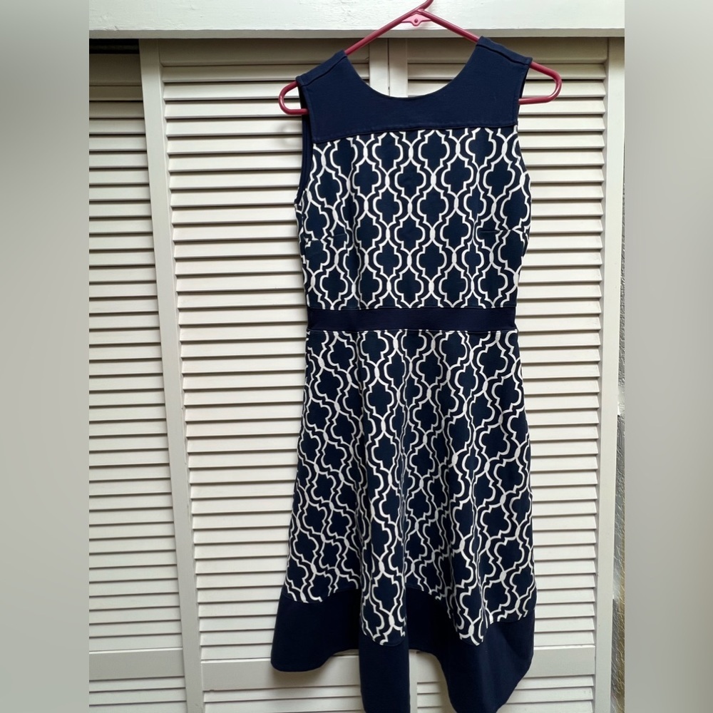 Lands End Blue and White Sz 8 Dress